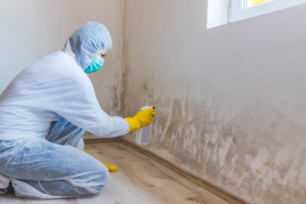 Licensed Attic Mold Remediation service in Jersey City, NJ - Mold Remediation HQ