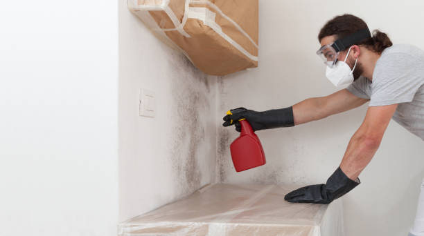 Professional Attic Mold Remediation technician working in Jersey City, NJ