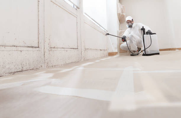 24/7 Emergency Attic Mold Remediation experts in Jersey City, NJ