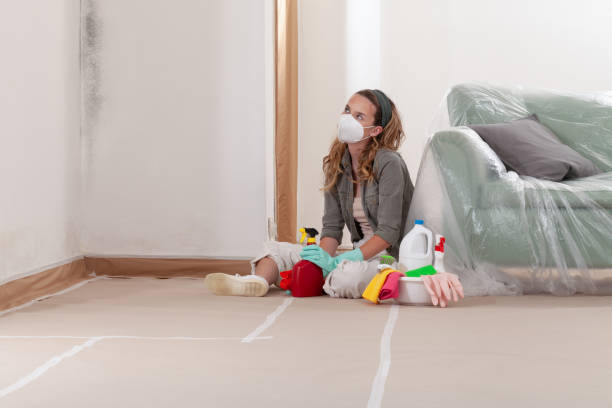 Reliable Attic Mold Remediation contractor in Jersey City, NJ by Mold Remediation HQ
